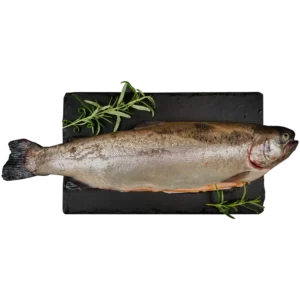 Tuszka pstrąga łososiowego – świeża ryba o soczystym, różowym mięsie, idealna do pieczenia, smażenia i grillowania