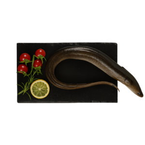 Węgorz patroszony 300 - 500g