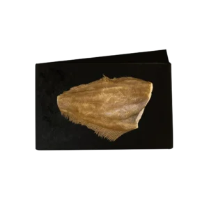 Halibut tusza 2-3 kg